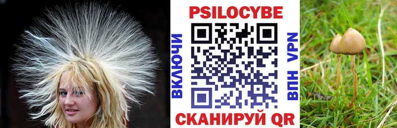 Галлюциногенные грибы мухоморы  hydra tor  Звенигово 